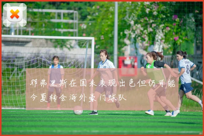 邓弗里斯在国米表现出色但仍可能今夏转会海外豪门球队