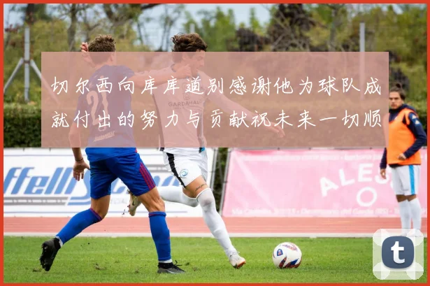 切尔西向库库道别感谢他为球队成就付出的努力与贡献祝未来一切顺利